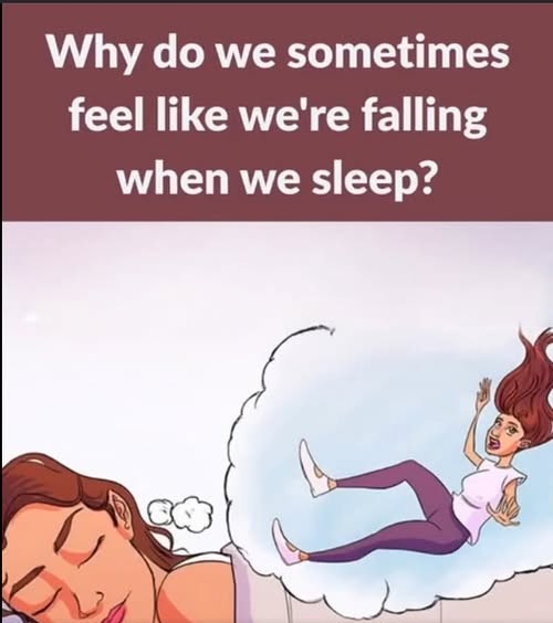 We sleep