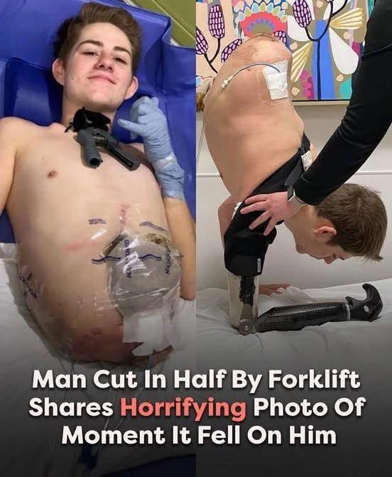 cut in half