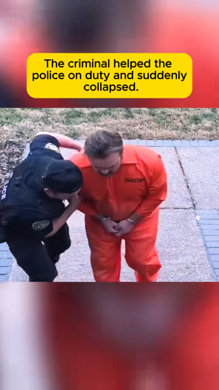 pr pl