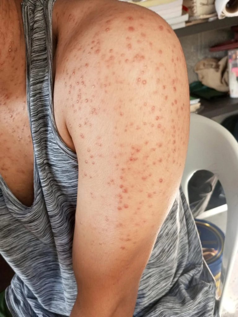 547450418_1086830350273669_4430033410693857472_n