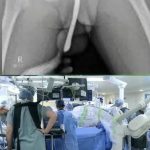 603972710_1295306102619134_1647541449239618554_n