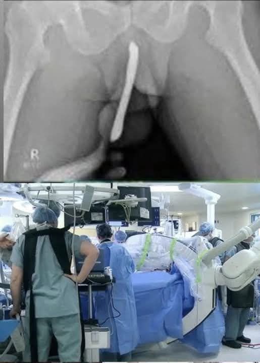 603972710_1295306102619134_1647541449239618554_n