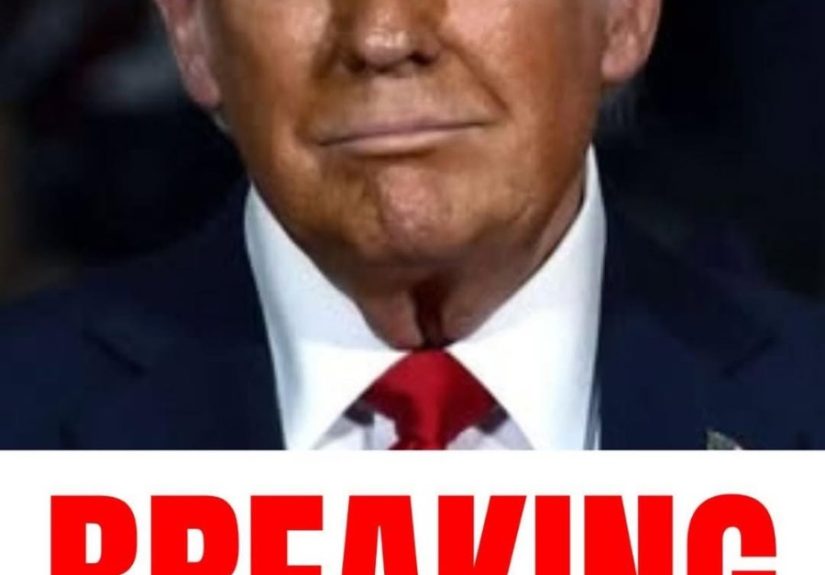 619981681_747101348456947_1333873898737545548_n