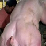 B3NMCSyyAidr8y7Ccckzt6MdrSzR9Y58mf3mLhbK