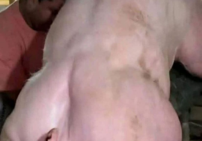 B3NMCSyyAidr8y7Ccckzt6MdrSzR9Y58mf3mLhbK