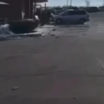 Screenshot 2026-03-17 134446