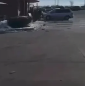 Screenshot 2026-03-17 134446