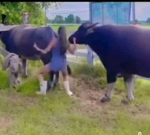 She never imagined that a quiet afternoon…