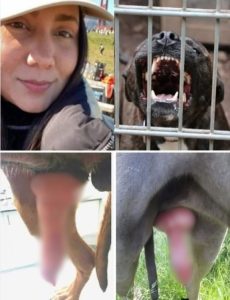 The girl who was ingr3sed for being a pen…See more