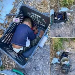 This approximately 2-year-old boy was found… See more