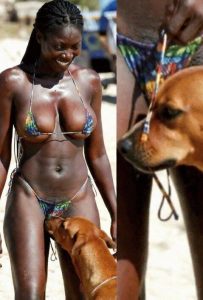 If your dog is sniffing your gen!t@l area, it means you have…see more.