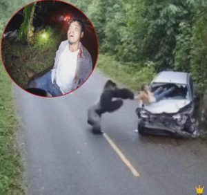 Missing man found after being dragged by a see more