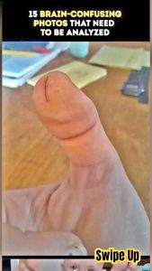 21 Dirty-Minded Photos That Will Make You Look Twice — You’ll Never Guess What’s Really Happening