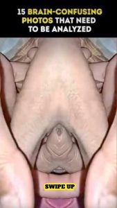 PICTURES THAT NEED A SECOND LOOK — CAN YOU REALLY TRUST YOUR EYES?