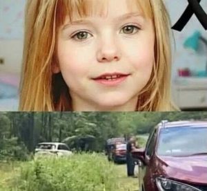 A Missing Child Was Found in the Woods—What Investigators Learned Next